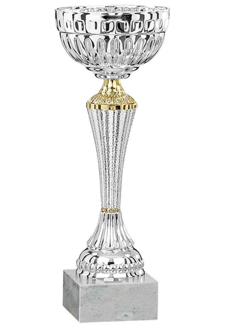 Pokal in Silber / Gold - Höhe: 28cm - Ø100