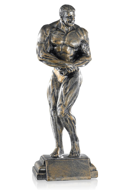 Trophäe Bodybuilder in Pose 27cm