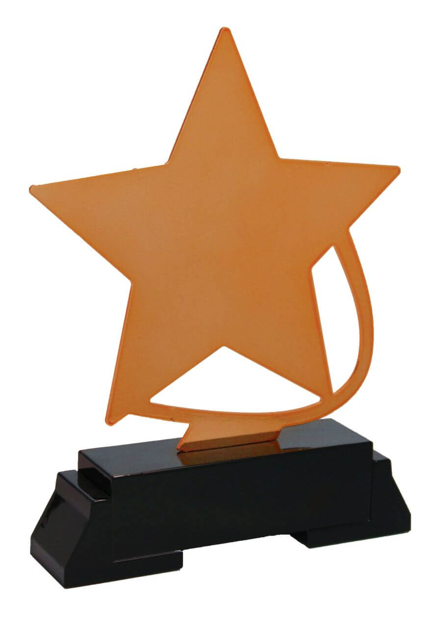 Lasertrophäe Stern Bronze, 20 cm