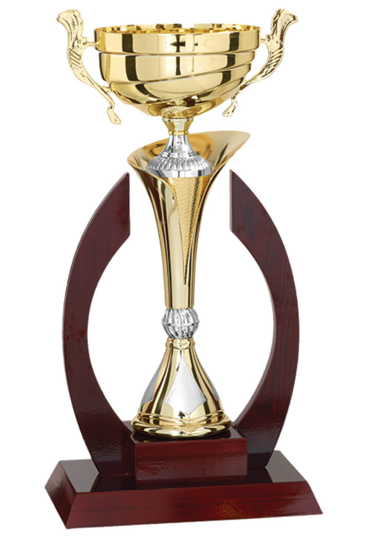 Pokal in Gold in einem dunkelroten Ringrahmen
