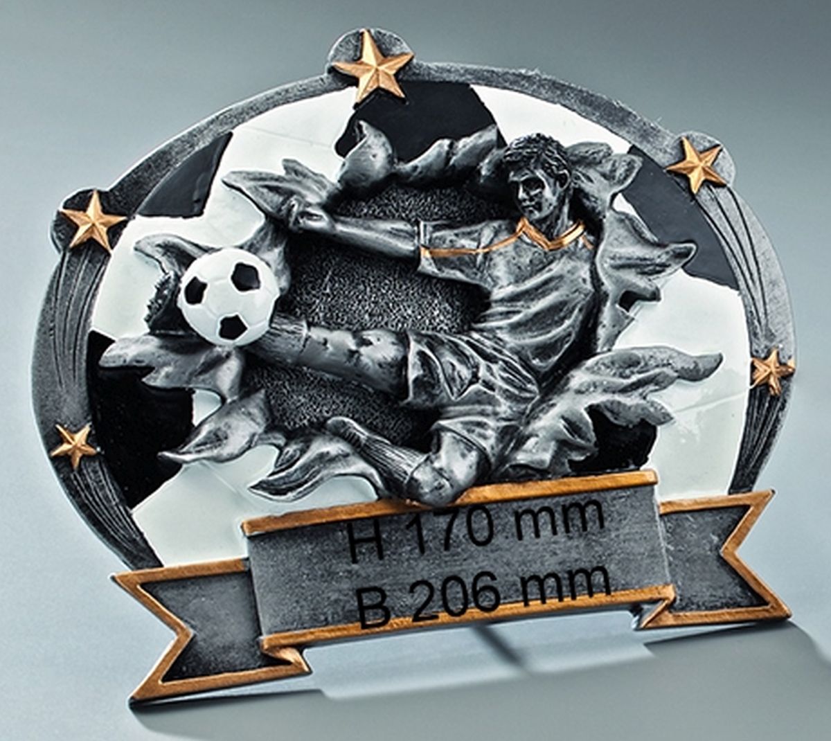 Plakette Fußball Herren - in 2 Größen Plakette Fußball Herren - in 2 Größen