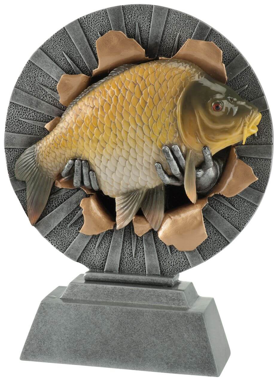 Angler-Trophäe Karpfen im Durchbruch - Höhe: 27,5 cm